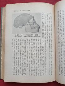 《人间の历史》全六册（日文原版、安田德太郎著、光文社出版、昭和二十六年至昭和三十二年、昭和26年至昭和32年、有贾志刚印章）1951-1957年