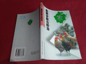 禽病诊断与防治----新世纪浙江特色农业丛书