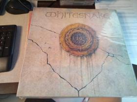 Whitesnake 重金属摇滚 白蛇乐队 韩版黑胶LP唱片