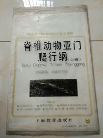 脊椎动物亚门爬行纲 上辑 挂图共6幅  蜥蜴的心脏结构模式图，爬行动物的羊膜卵等