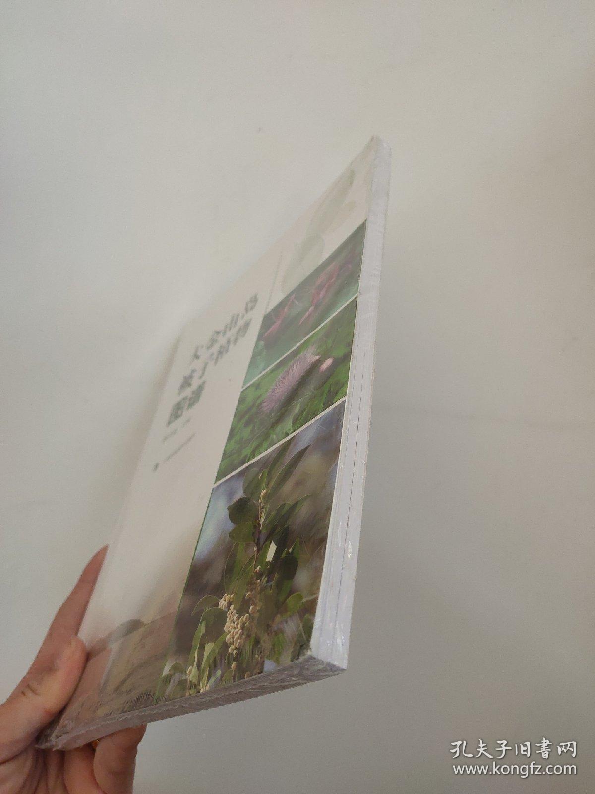 点击查看原图 大金山岛被子植物图谱