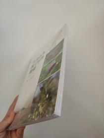 大金山岛被子植物图谱