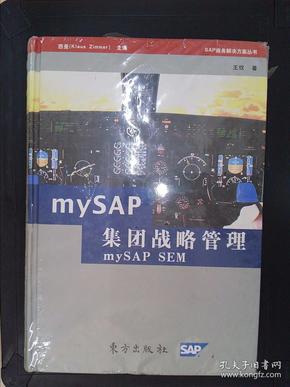 mySAP集团战略管理