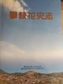 攀枝花史志（2018年第一二期合刊）