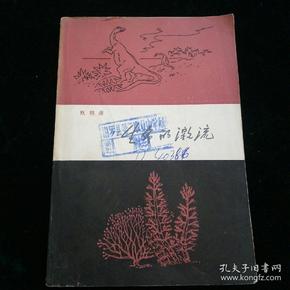 生命的激流