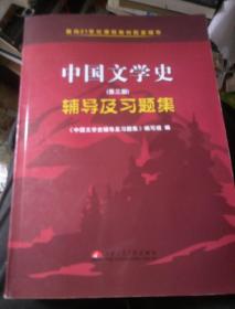 中国文学史（第二版）辅导及习题集