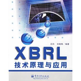 XBRL技术原理与应用