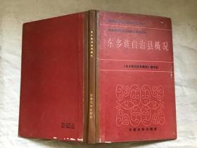 东乡族自治县概况