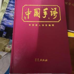 中国手语.续集