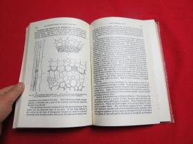 植物解剖学道论  1951  外文看图