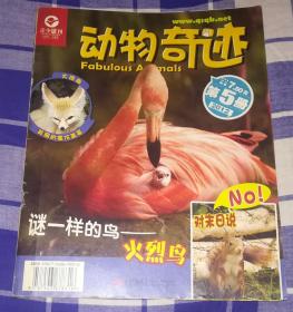 动物奇迹 青少期刊 2012第5册 八五品 包邮挂