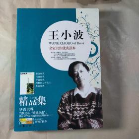 王小波精品集