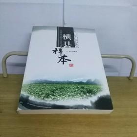 横县样本：一个西部百强县的科学发展之路