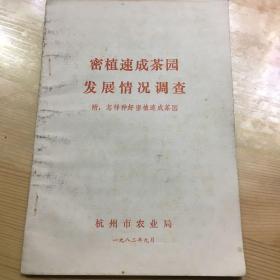 密植速成茶园发展情况调查 附 怎样种好密植速成茶园 杭州市农业局