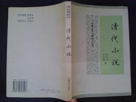 清代小说——中国古代文学知识丛书