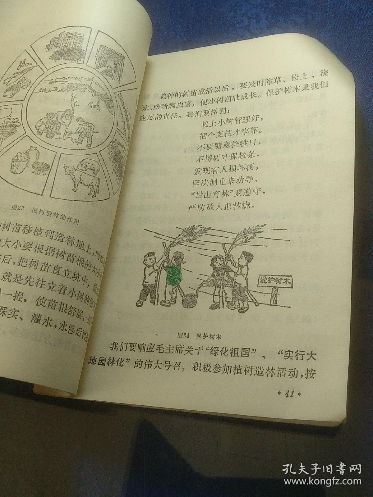 常识（四年级上册）（插图版）（青海省小学试用课本），，