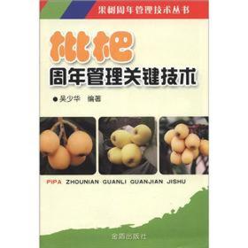 枇杷种植技术书籍 果树周年管理技术丛书：枇杷周年管理关键技术