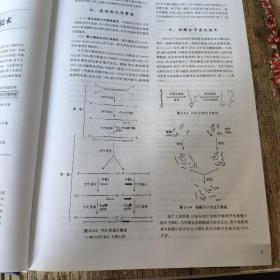 实用内科学 (第13版)