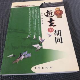 逝去的胡同：记忆·四合院书系