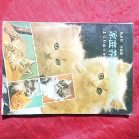 家庭养猫知识问答