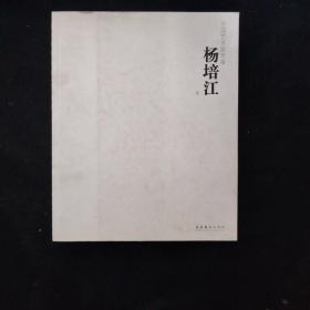 中国艺术家年鉴：杨培江卷 一版一印