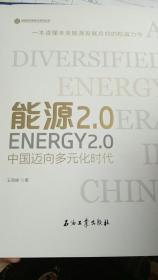 能源2.0：中国迈向多元化时代