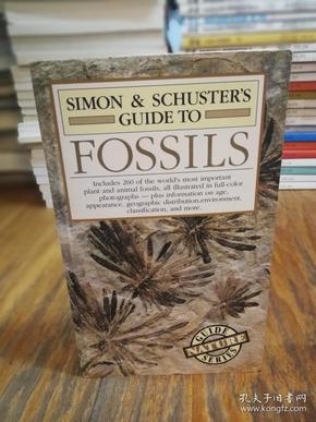 Simon & Schuster'S Guide To Fossils (Nature Guide Series)