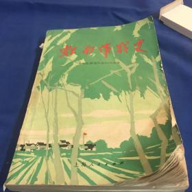虹南作战史