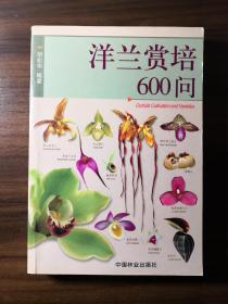 洋兰赏培600问