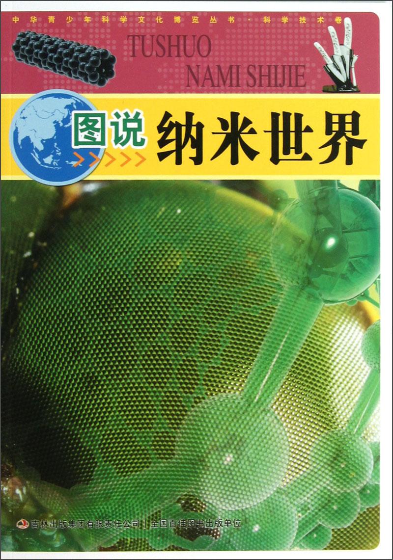 中華青少年科學(xué)文化博覽叢書：圖說·納米世界