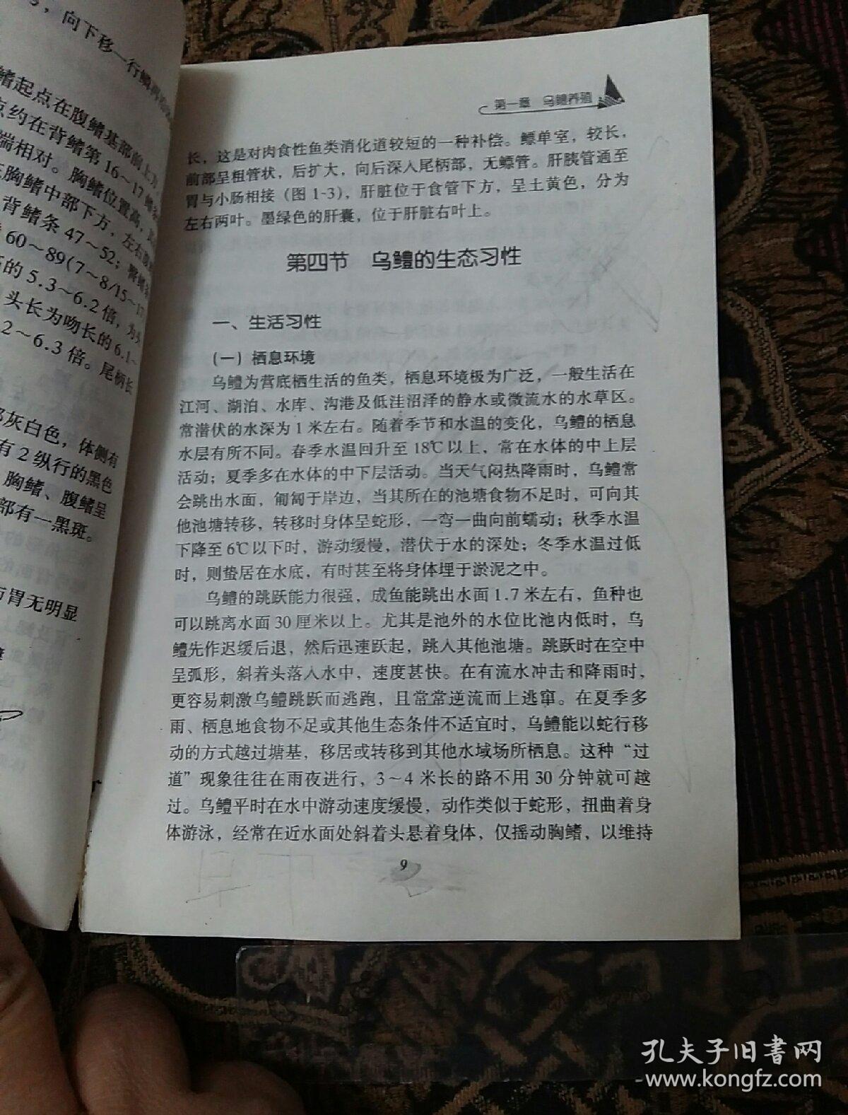 乌鳢 月鳢养殖技术——21世纪水产名优高效养殖新技术