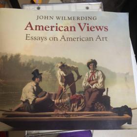 American Views: Essays On American Art （无字迹 无污迹 正版现货）