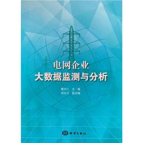 电网企业大数据监测与分析