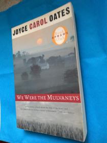 We Were the Mulvaneys  (by Joyce Carol Oates)