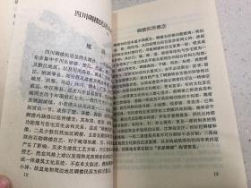 四川民居散论