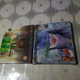 护肤养颜 美容大全（2、4）2VCD