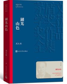 茅盾文学奖获奖作品全集：湖光山色