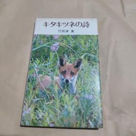 キタキツネの詩    狐狸的诗