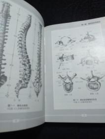 脊柱相关疾病治疗学