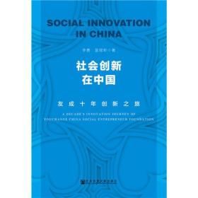 社会创新在中国：友成十年创新之旅