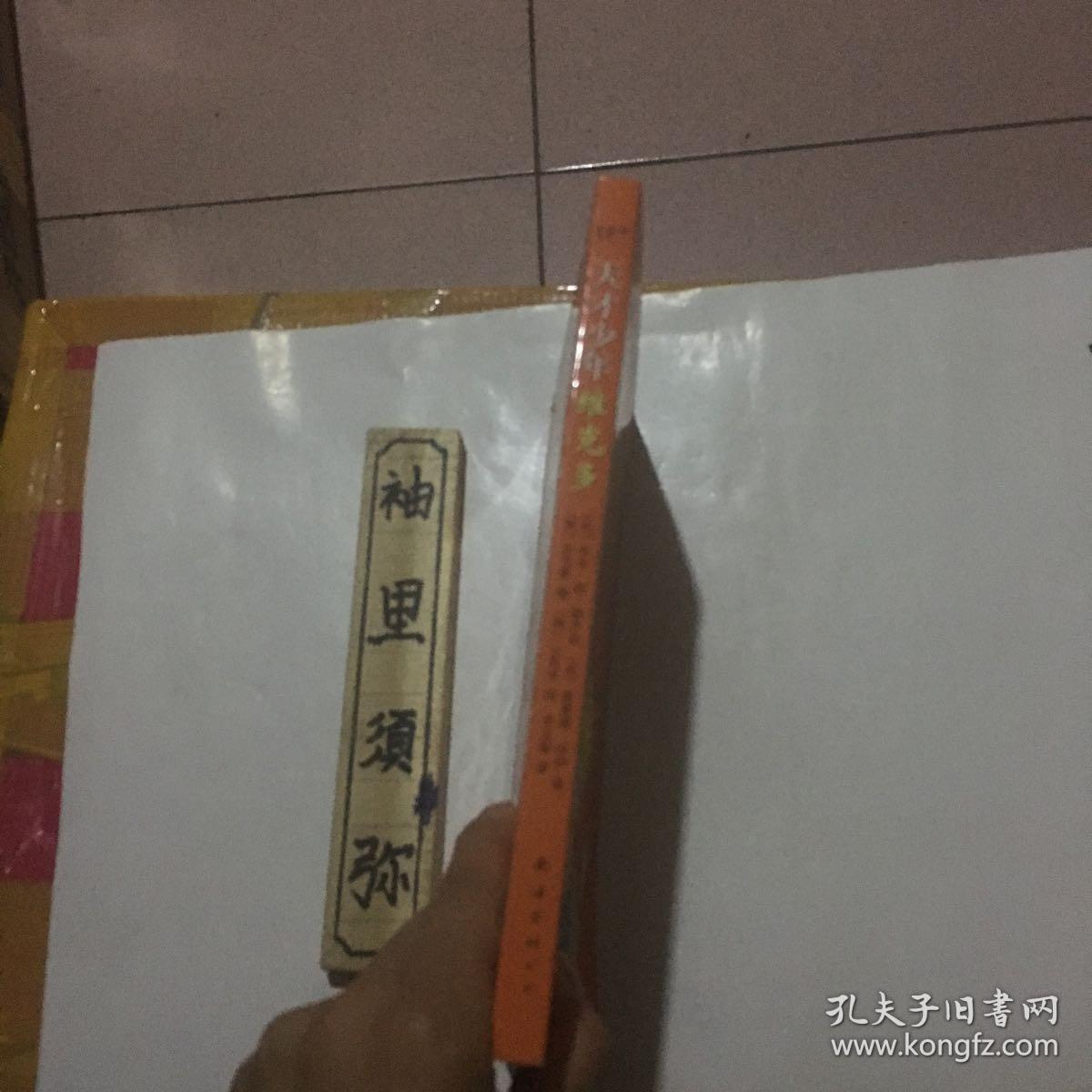 天才少年维克多