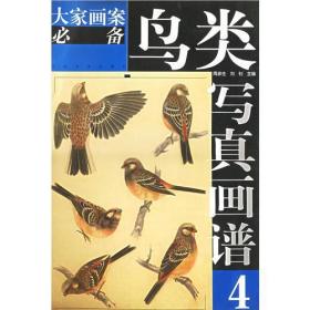 《鸟类写真画谱4  大家画案必备》