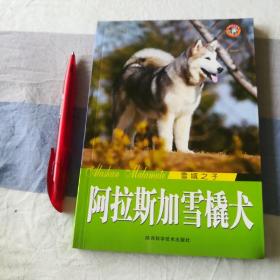 雪域之子：阿拉斯加雪橇犬