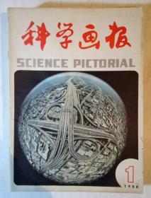 科学画报1984年全年12册合售