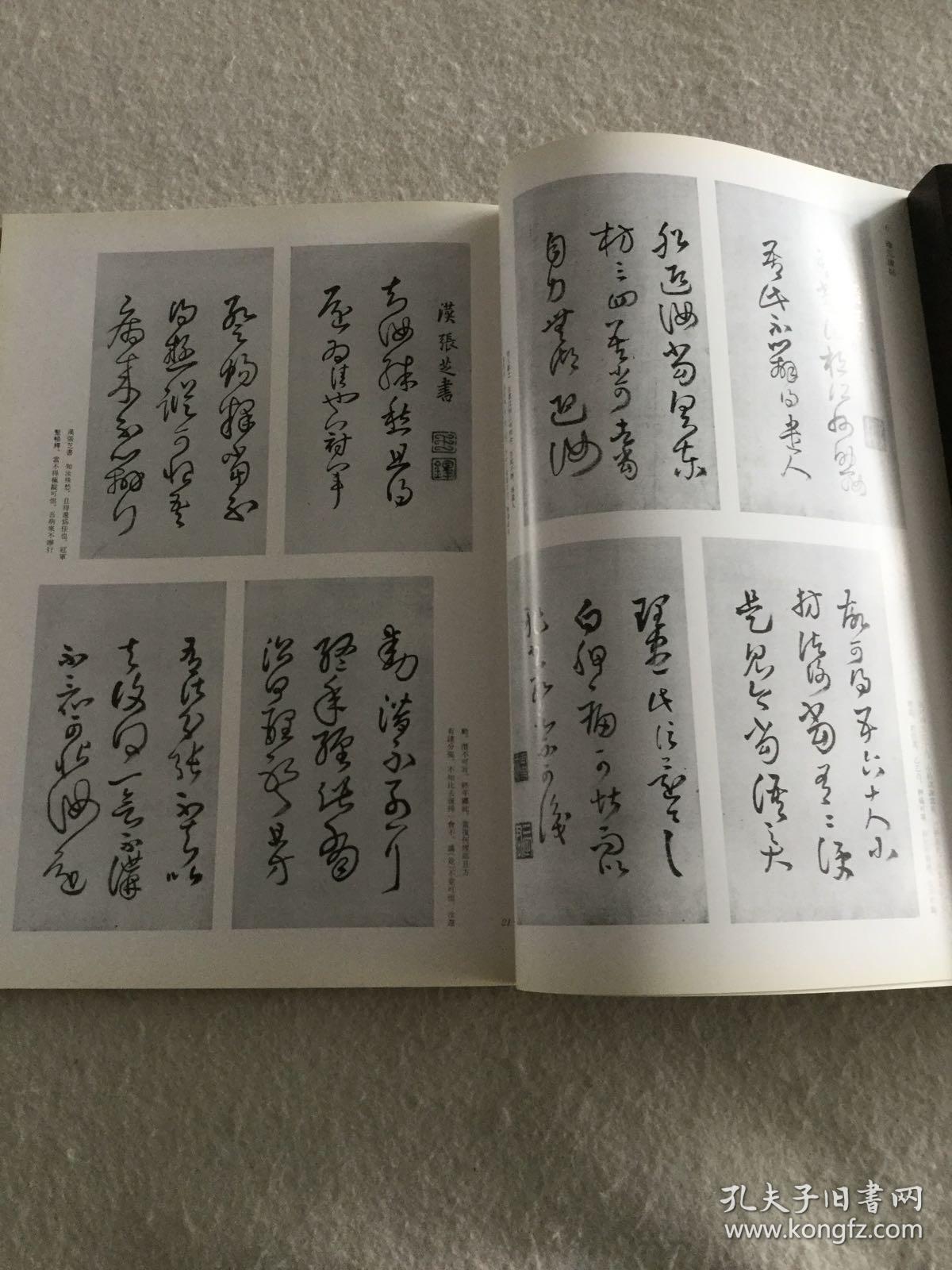 二玄社 王铎书法展纪念册