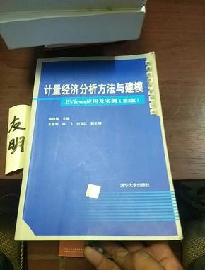 计量经济分析方法与建模：EViews应用及实例（第3版）/数量经济学系列丛书