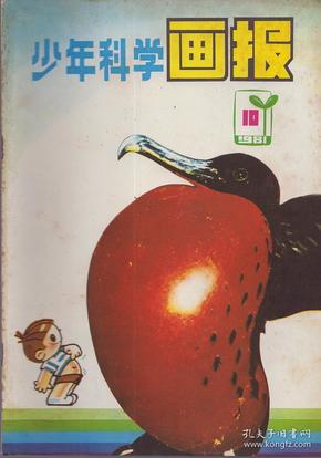 《少年科学画报》1981年第10期【品如图】