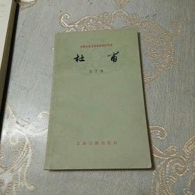 杜甫(中国古典文学基本知识丛书)