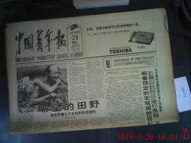 中国青年报 1995.5.29