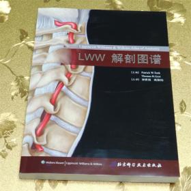 LWW解剖图谱主译：钟世镇欧阳钧 北京科学技术出版社 ISBN：9787530445433